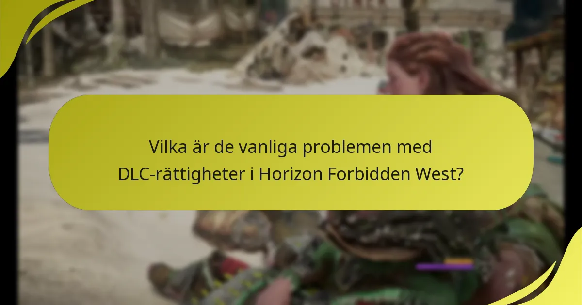 Vilka steg bör jag följa för att verifiera mitt DLC-köp?
